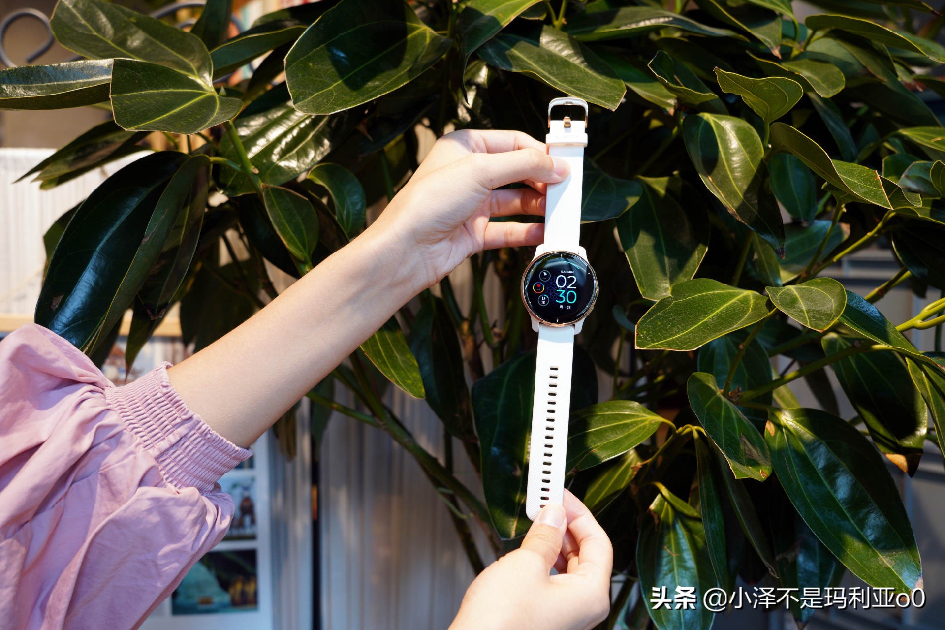 佳明venu2plus和苹果watch8怎么选 (买佳明5还是买applewatch2)