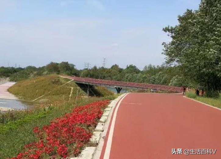 温江好房成都后花园,温江后花园是哪所大学