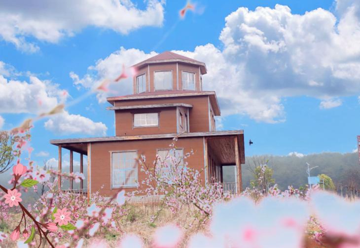 免票最新信息,半价免票规则