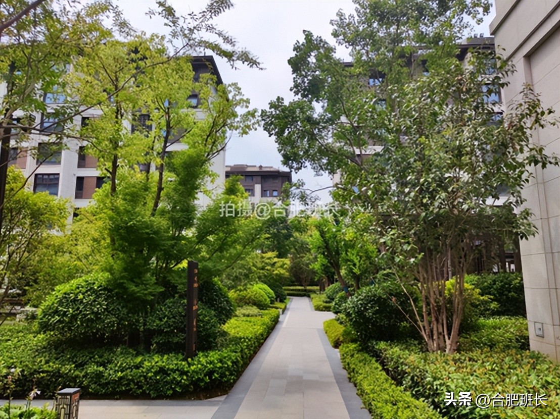 紧邻公园不如住在公园，实探以中式园林闻名的滨湖区葛洲坝紫郡府