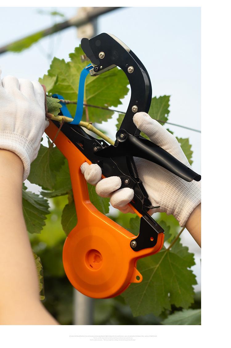 多功能黄瓜绑枝器,黄瓜整枝打杈操作步骤