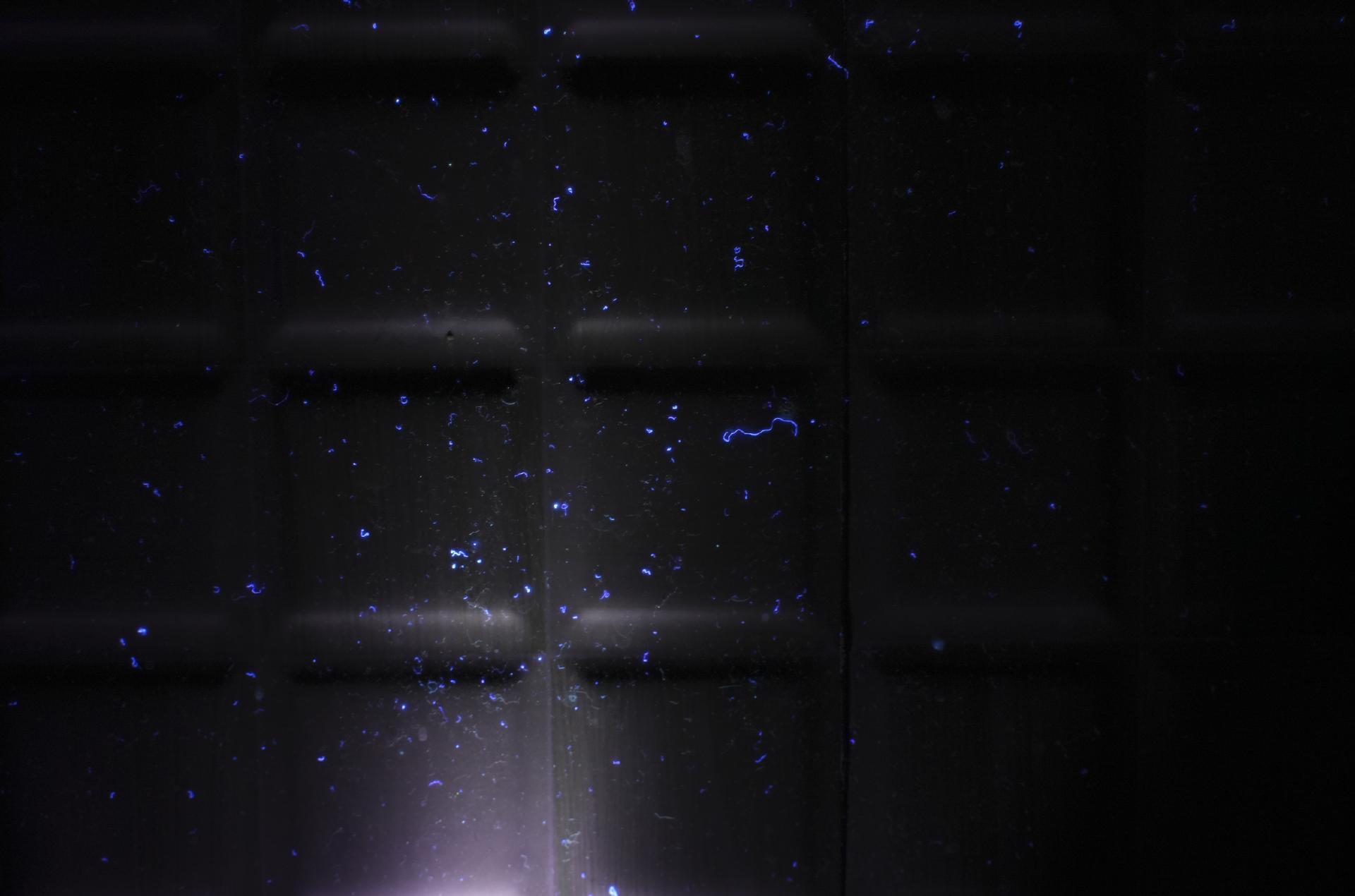 傲雷最好的手电是哪一款,傲雷最值得购买的手电筒