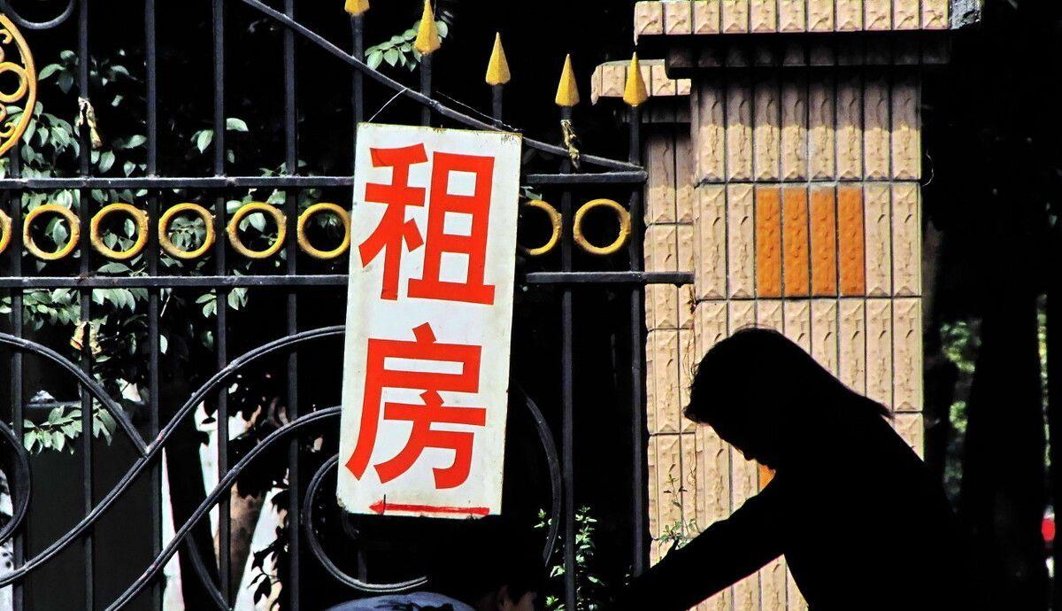 青客最终还钱了吗,青客租赁坑了多少无辜的租客