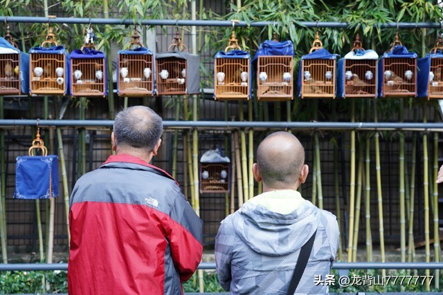 养老院老年人娱乐活动视频,适合老年人的娱乐活动有哪些