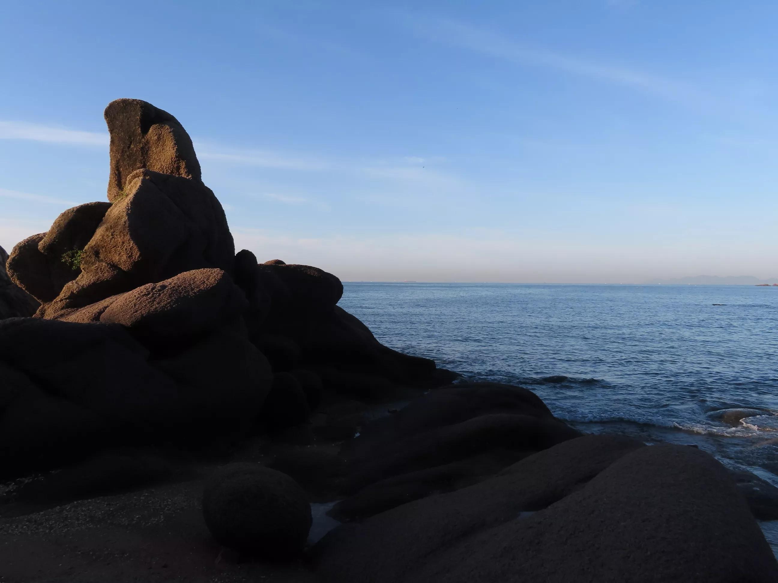 青岛的海,青岛的海鸥