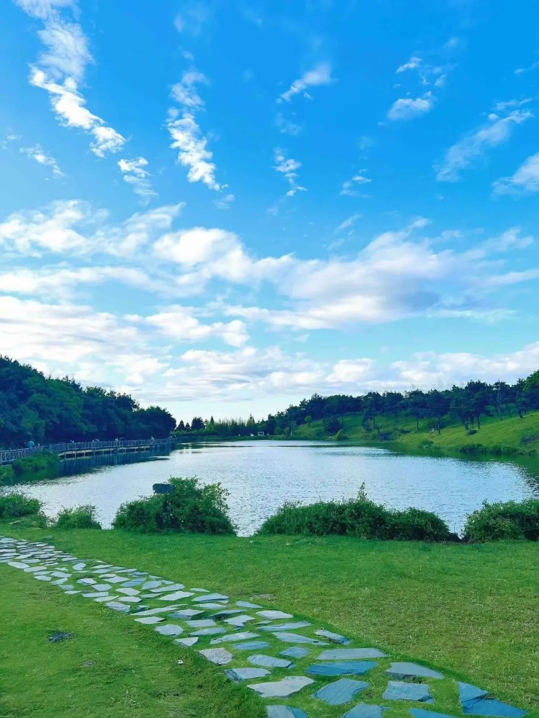 闽山闽水物华新,闽山闽水物华新在师生中引热议