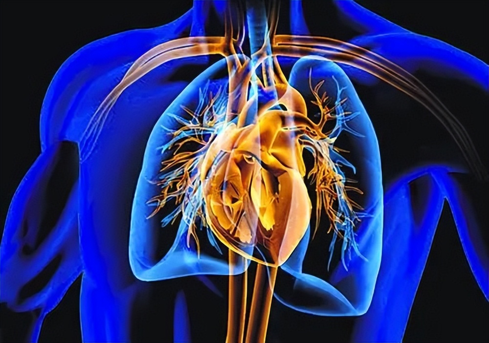 院士评选十大科技进展,两院院士十大科技进展