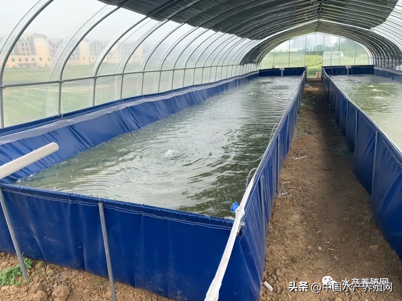 养殖遇困境六种模式帮您找出路,最坑人的50个养殖常识