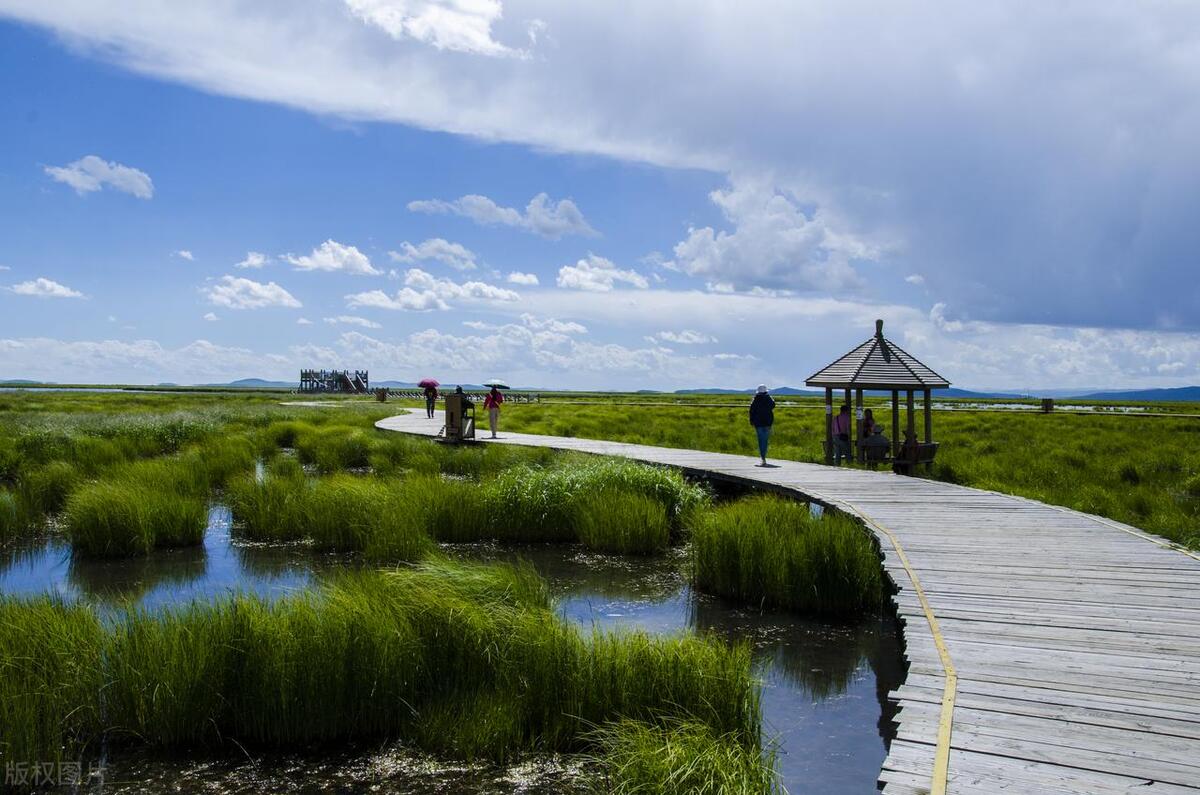四川最美草原—若尔盖草原欣赏