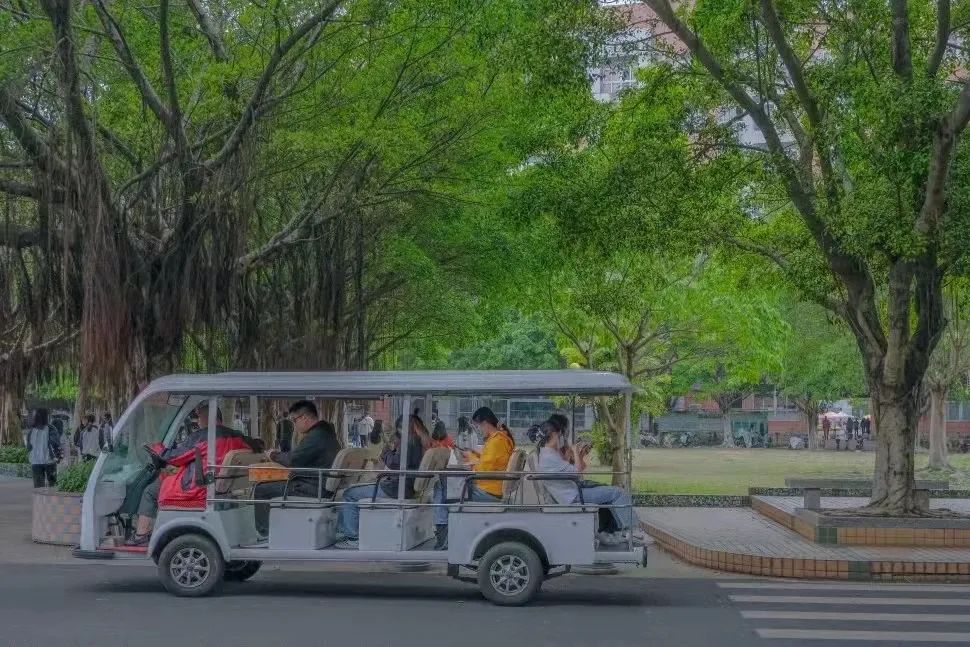 心动警报采访,心动预警作品