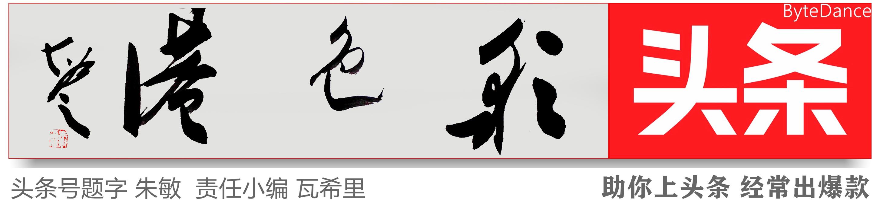 凤凰台上·忆旧｜为了完成除四害任务，中学生冒险过江捉老鼠