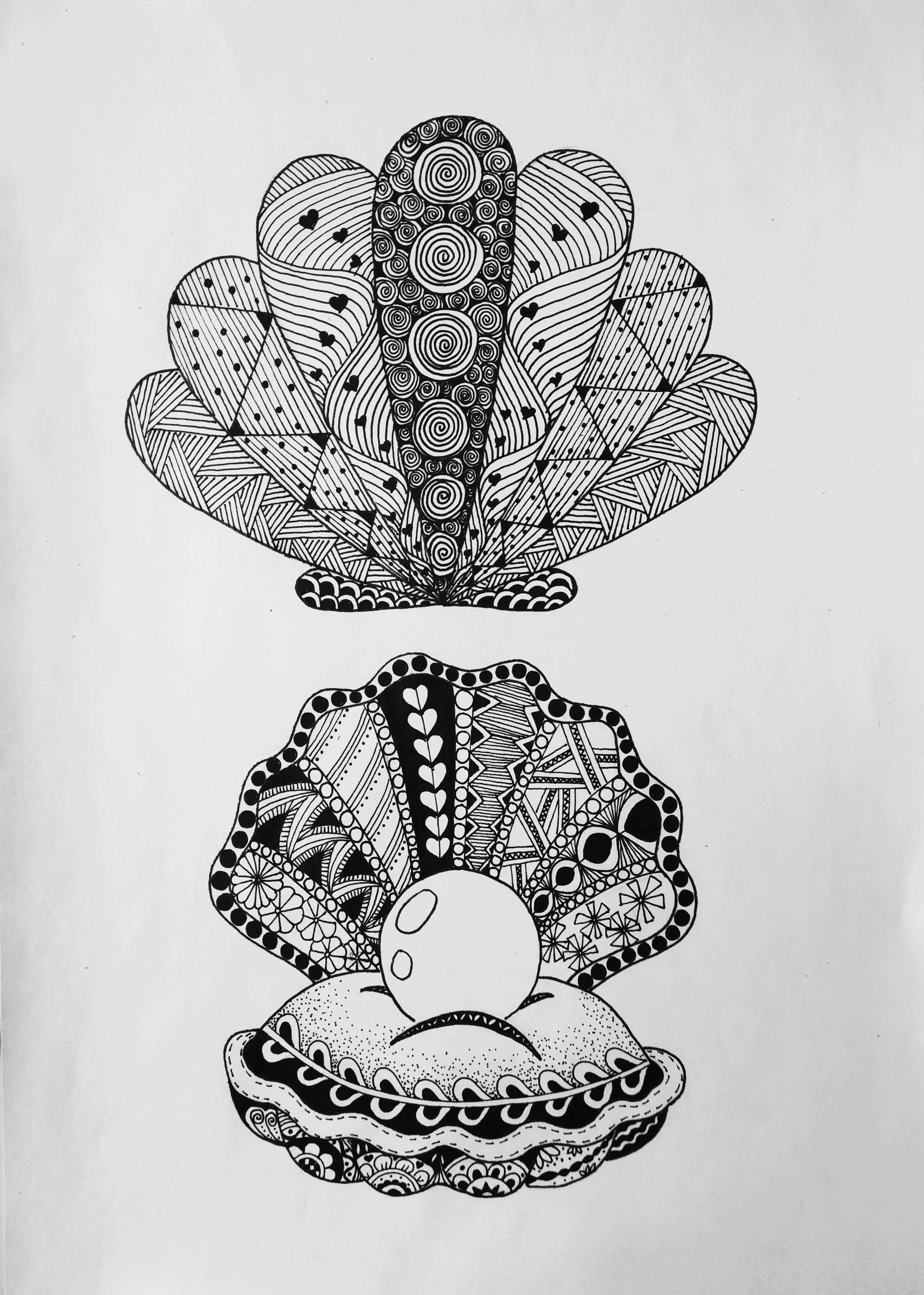 在扇贝上怎么画简单又漂亮,儿童线描画扇贝