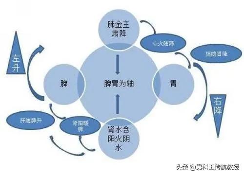 中医治本西医治标是什么意思,中医中的治标治本是什么意思呢