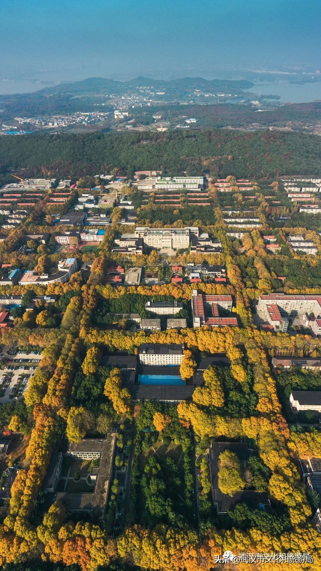 大江大湖千湖大武汉,大江大湖大武汉浩浩荡荡