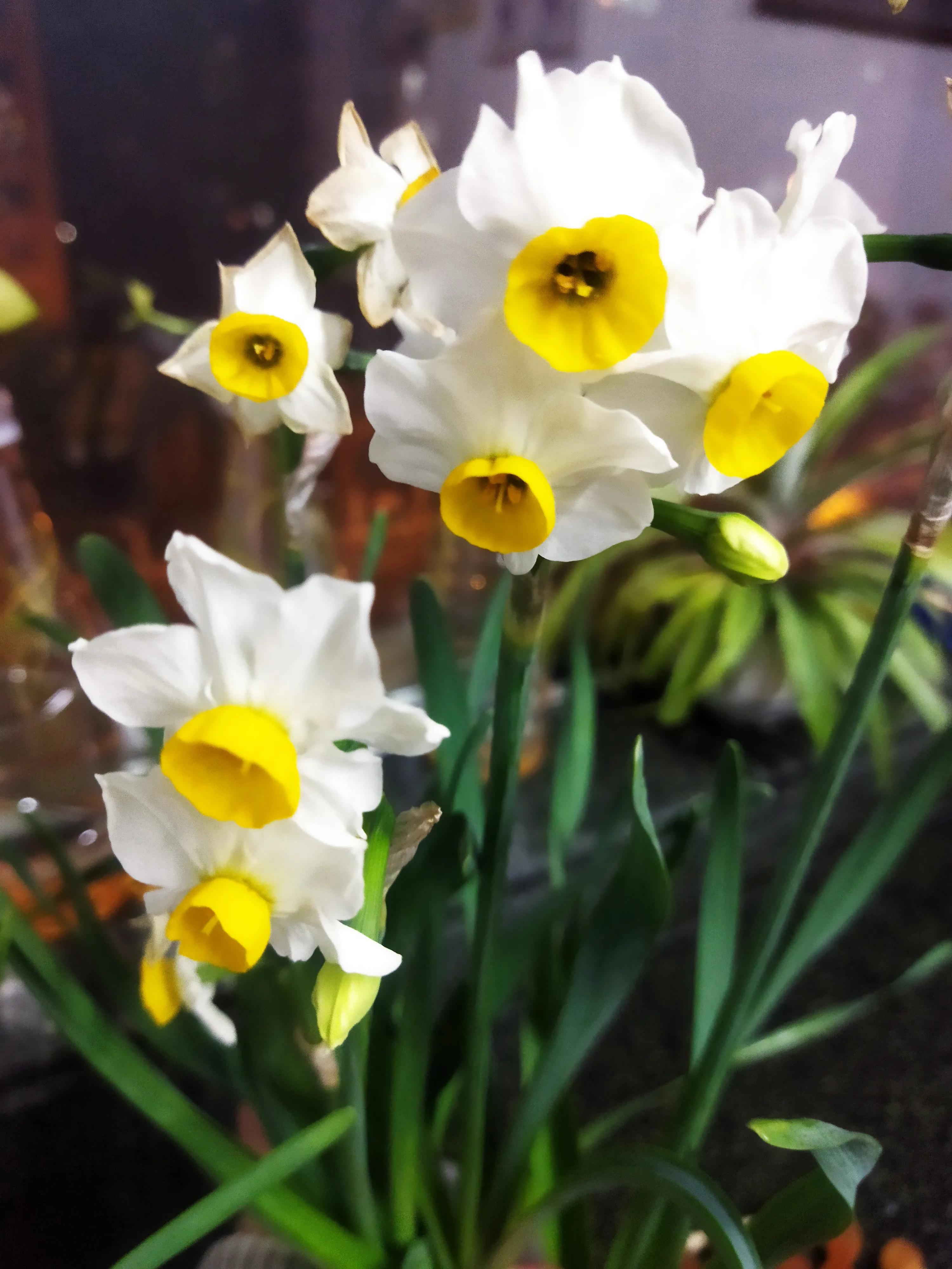 连续失眠怎么办,连续失眠是什么原因造成的