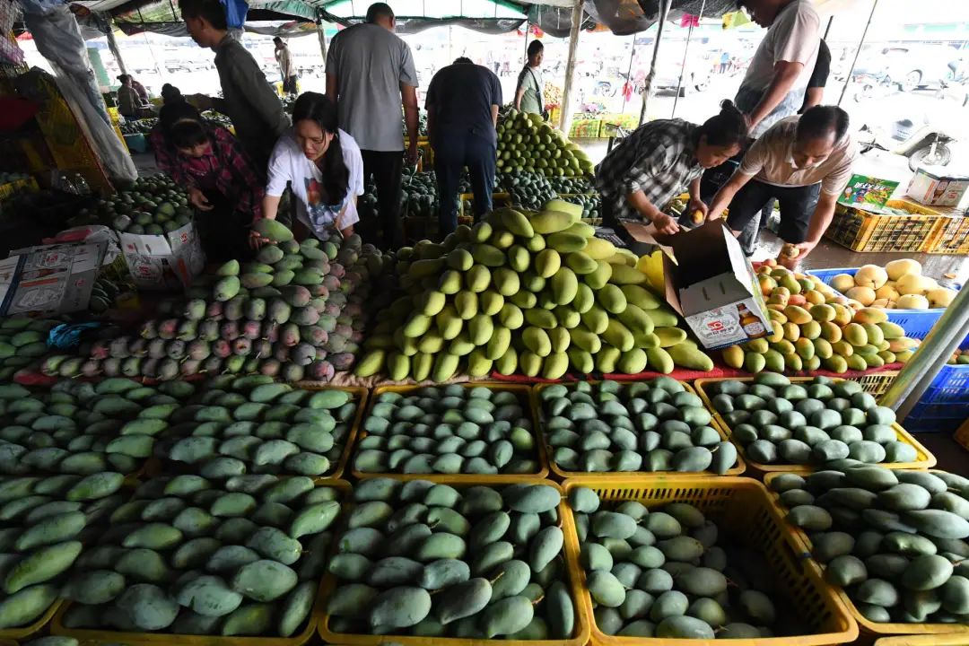 为什么那么多人说，芒果前景可期却又暗藏危机？