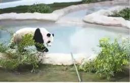 看世界杯心情感慨,看世界杯的观后感