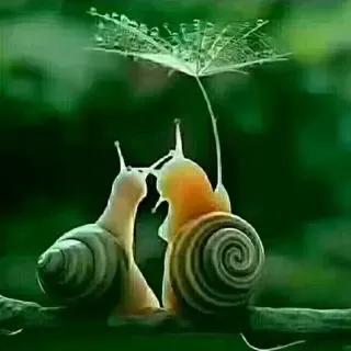 同事相互尊重彼此更珍惜,珍惜同事情谊的词句