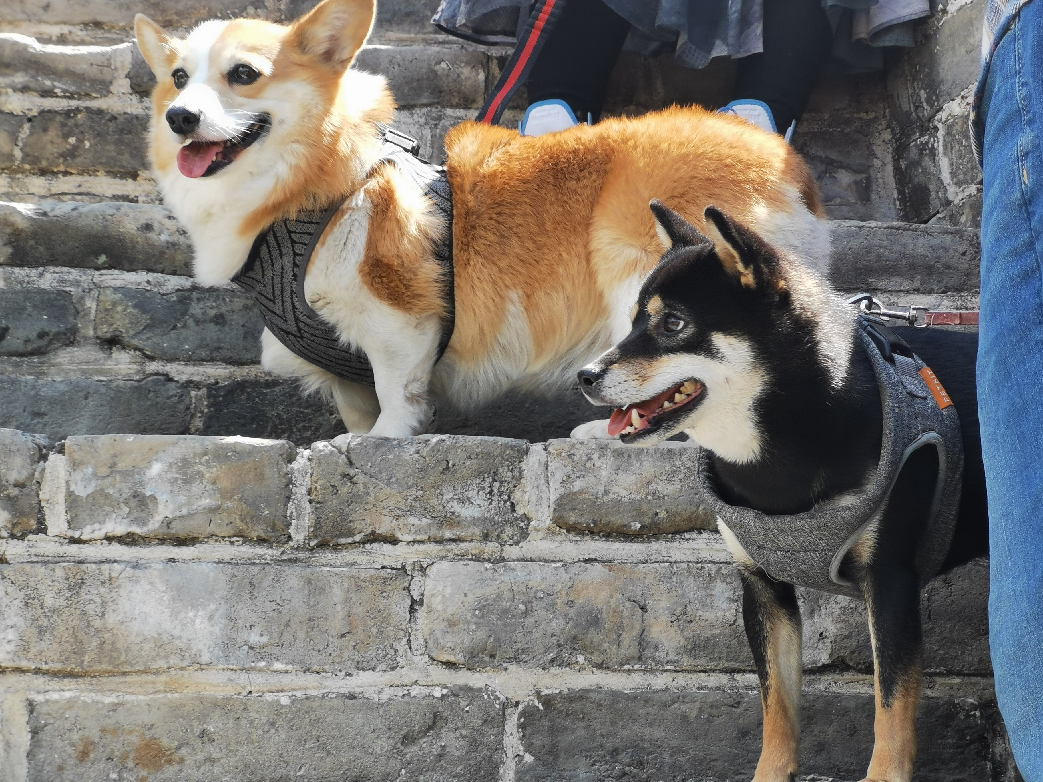 黄花城水长城旅游攻略,行走万里长城之旅