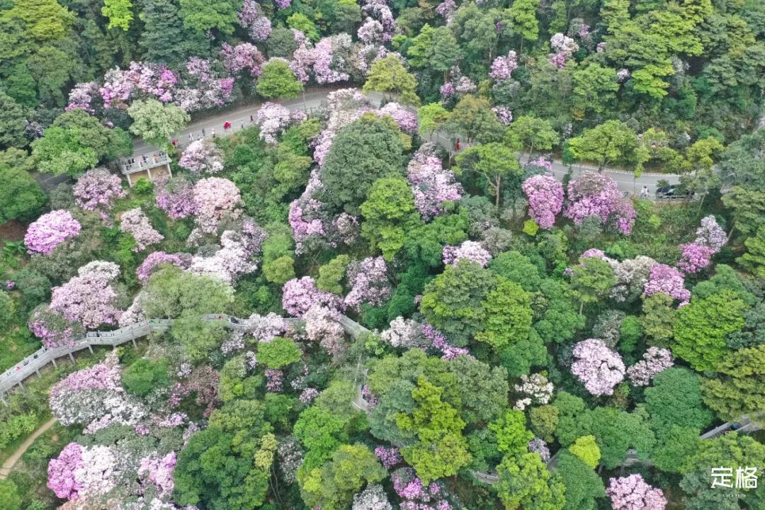 深圳最值得爬的景点,深圳十大最值得爬的山