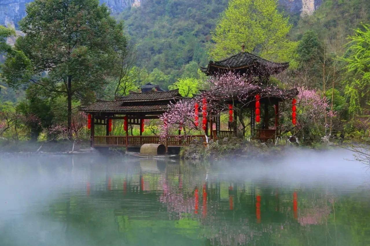 重庆茶山竹海国家森林公园避暑,重庆适合亲子游2天一晚避暑