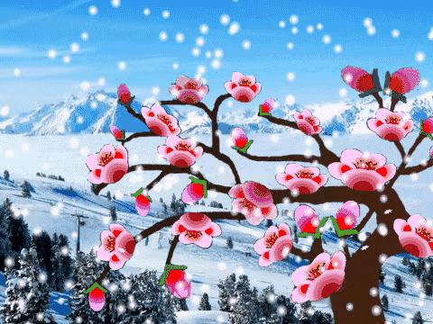 窗外雪花飘飘散文随笔,雪花漫天飞舞的散文