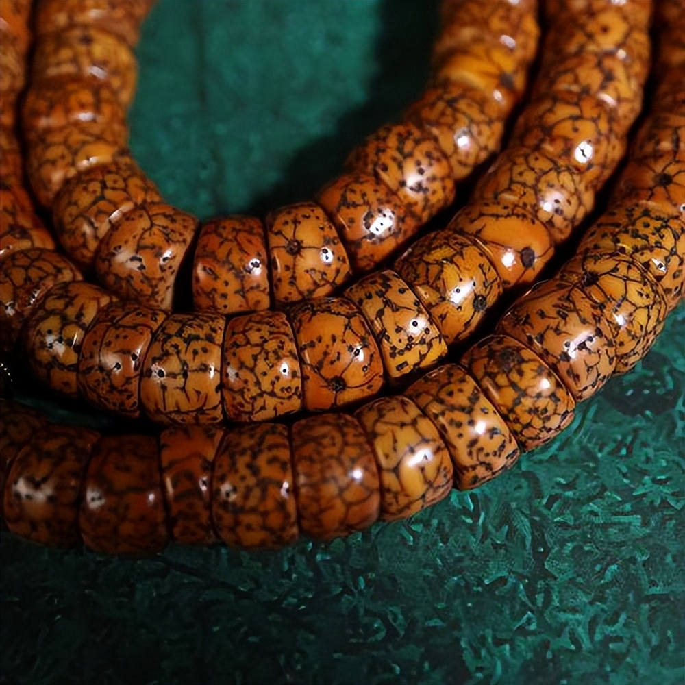 星月菩提具体盘玩步骤与方法,星月菩提怎样的适合盘玩