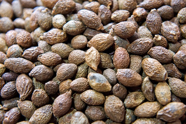 化痰止咳平喘药中药,平喘止咳化痰的药有哪些中药