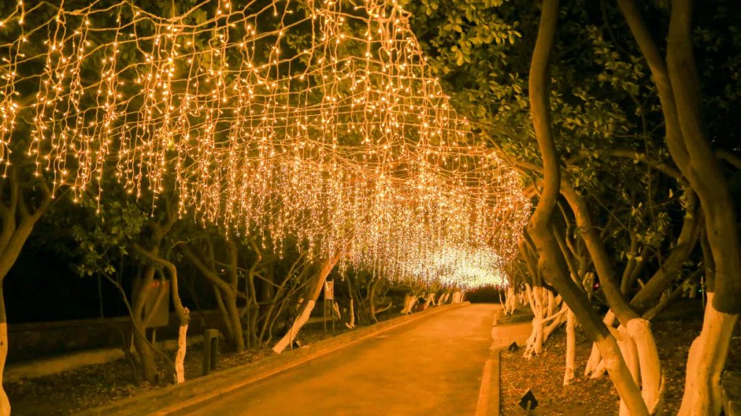 花灯亮了年味儿浓了,辛弃疾上元灯会