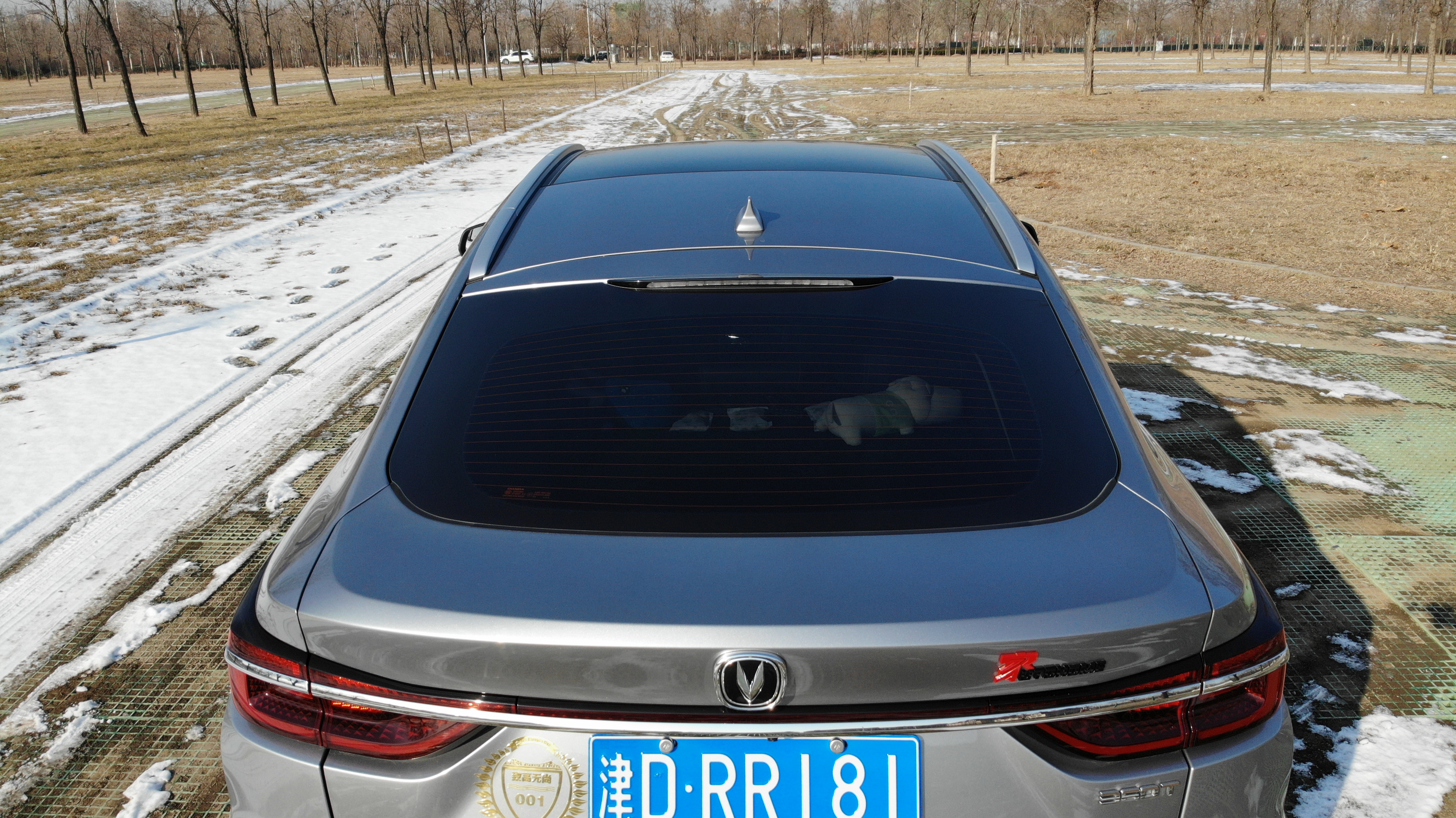 南湖公园武清区游玩,武清南湖公园四月初景色