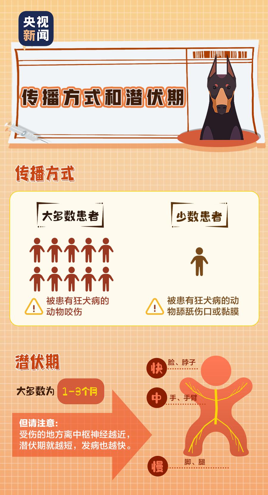 猫猫打过狂犬疫苗被咬了有事吗,狗狗咬了之后多久打狂犬疫苗有效