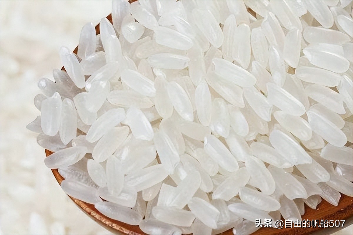 吉林省白城市镇赉县天气预报15天,吉林省白城市镇赉县莫莫格乡