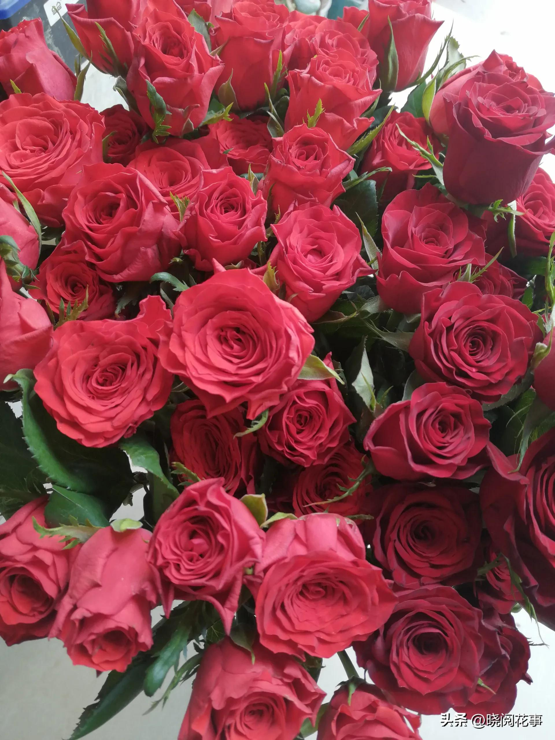 怎么提前准备花表白,表白女朋友送什么花