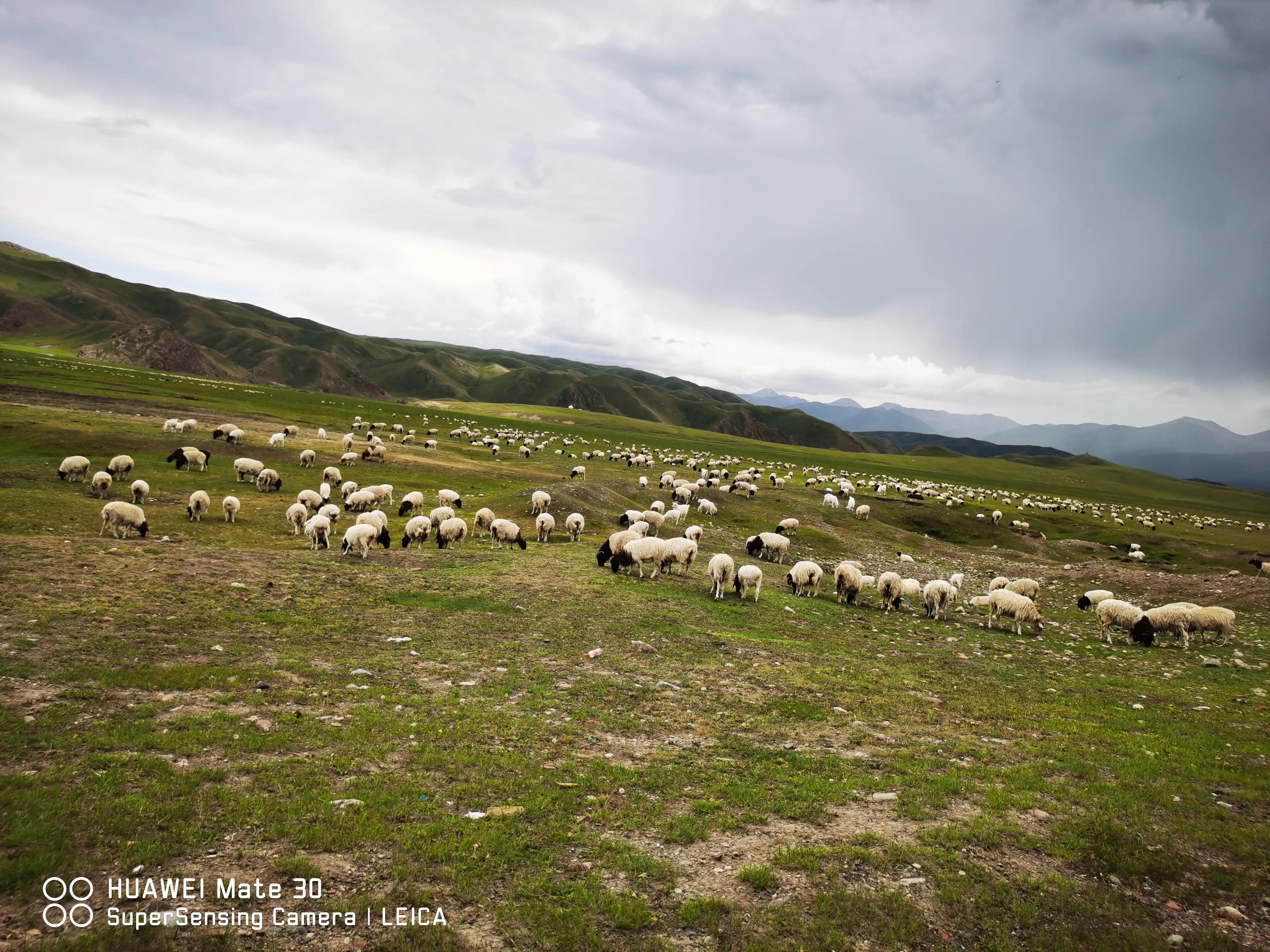 2022进疆自驾游,23年第三次自驾进疆