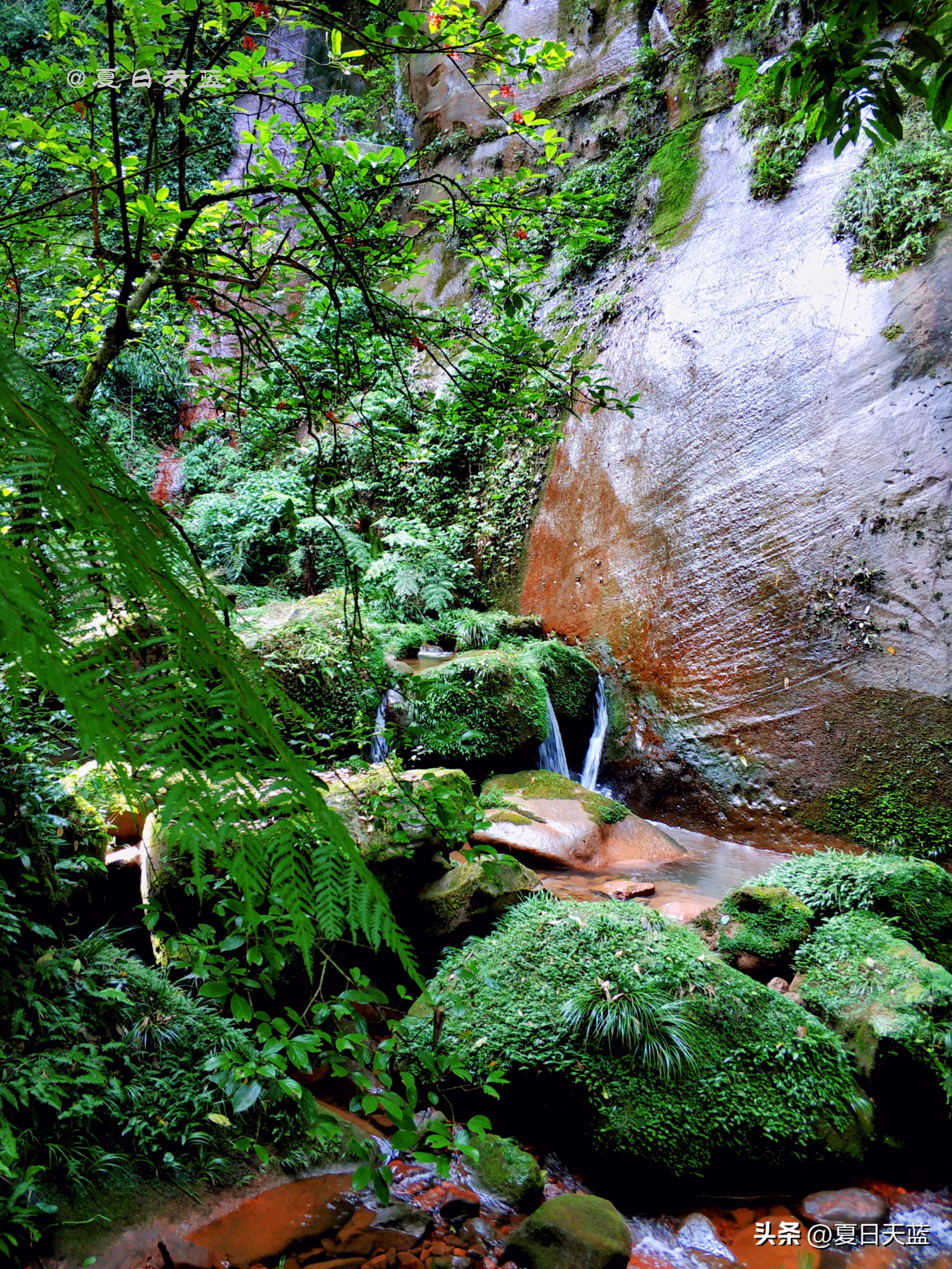 最新贵州赤水旅游攻略图,赤水市丙安古镇怎么游览