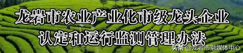 扶持粮食生产政策措施的通知,2020年全国粮食生产有没有新政策