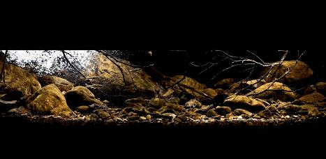 在卧室造一片弱肉强食的危险雨林，会打雷还真的会下雨