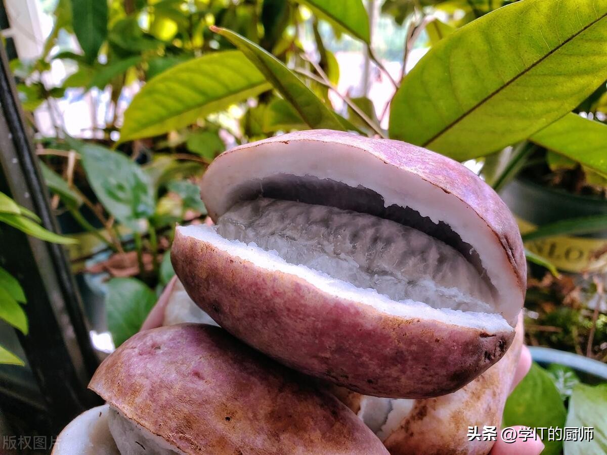 农村奇迹！八月炸：一年收入破百万，谁说农业不赚钱？