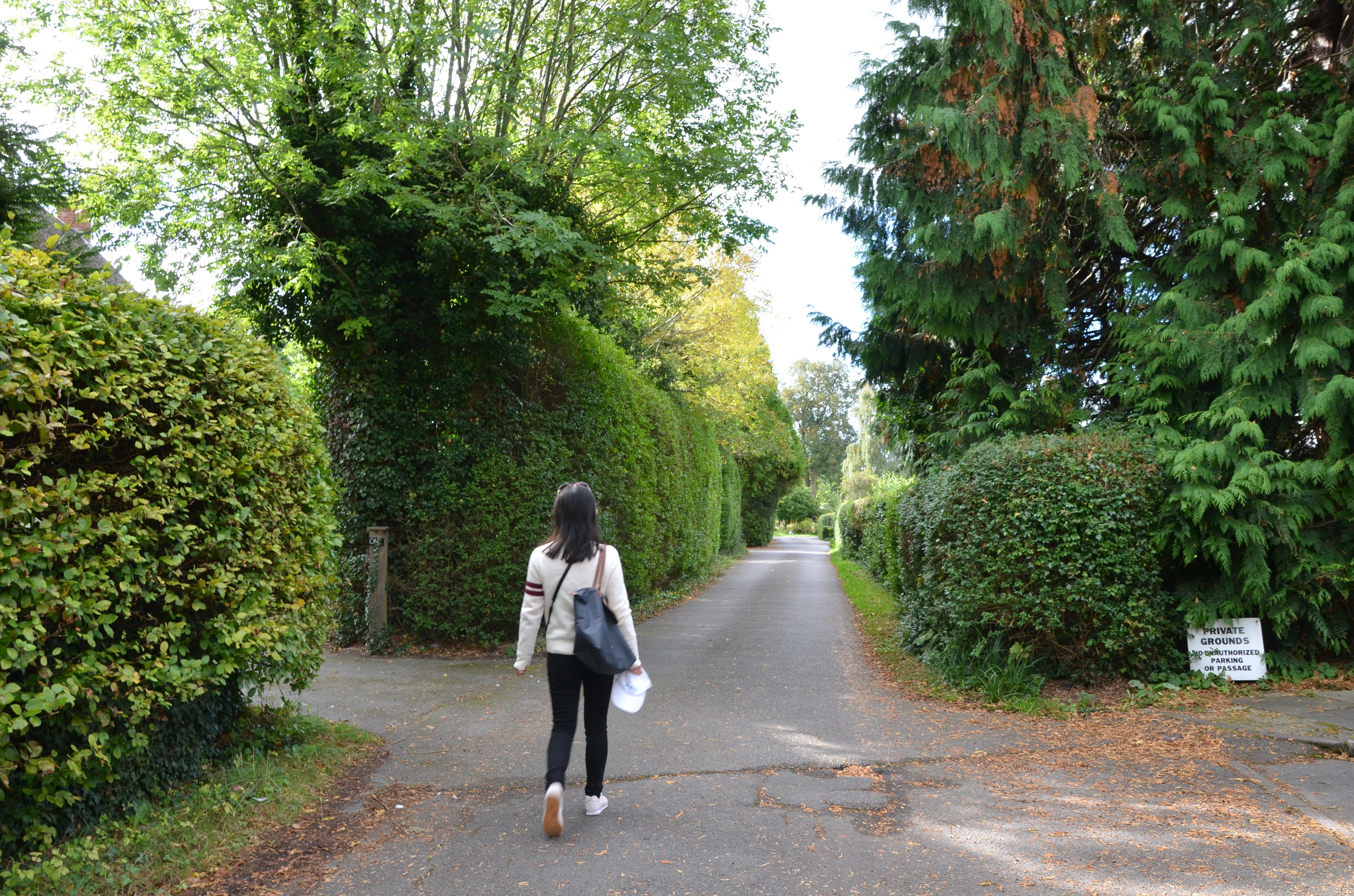 英国切尔滕纳姆绘本,英国切尔滕纳姆大赛