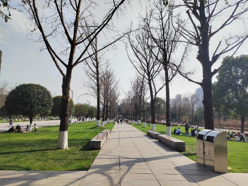 重庆中央公园建设历程,重庆中央公园保亿价格