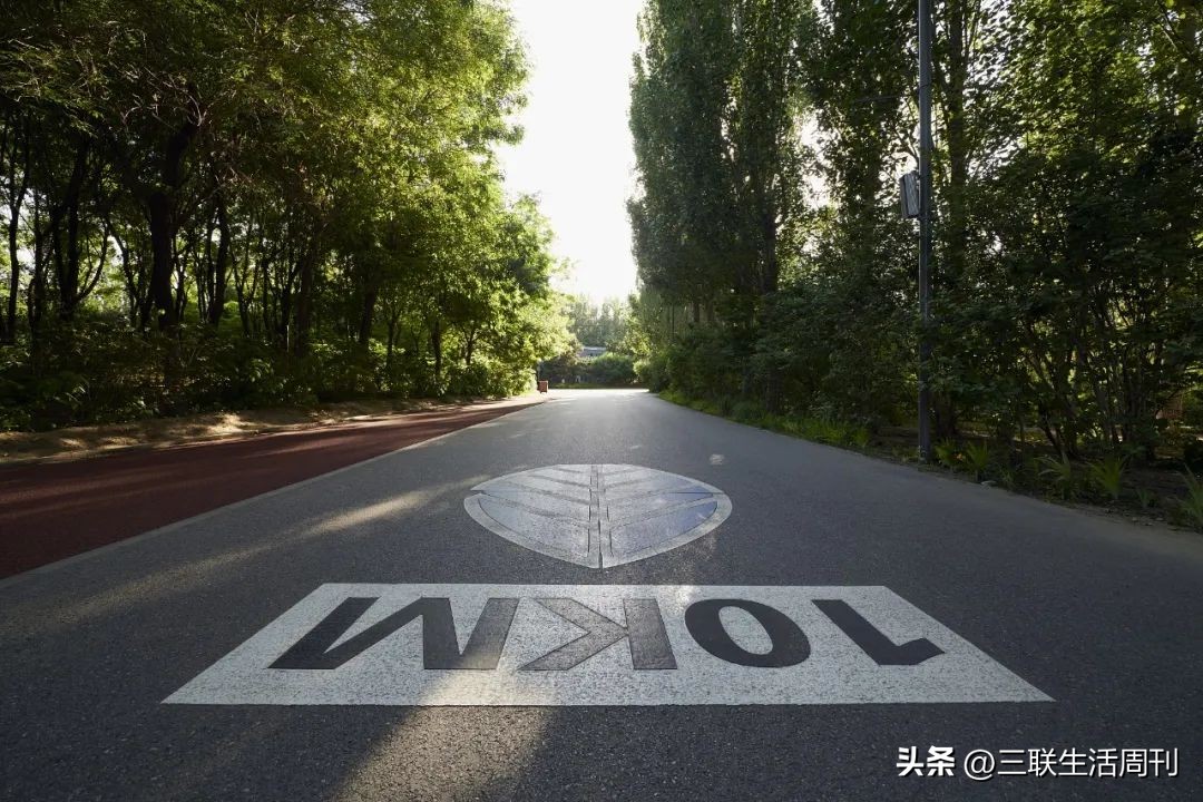 跑步如何调整对生活的态度,当生活失去了动力怎么办