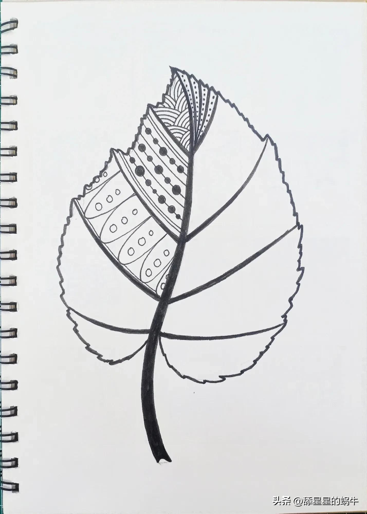 树叶黑白线描画简单花纹,点线面的树叶创意线描