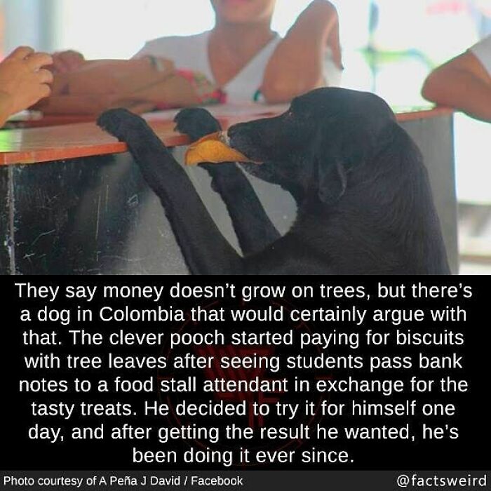 100个有趣的历史小故事,世界历史上的趣味小故事