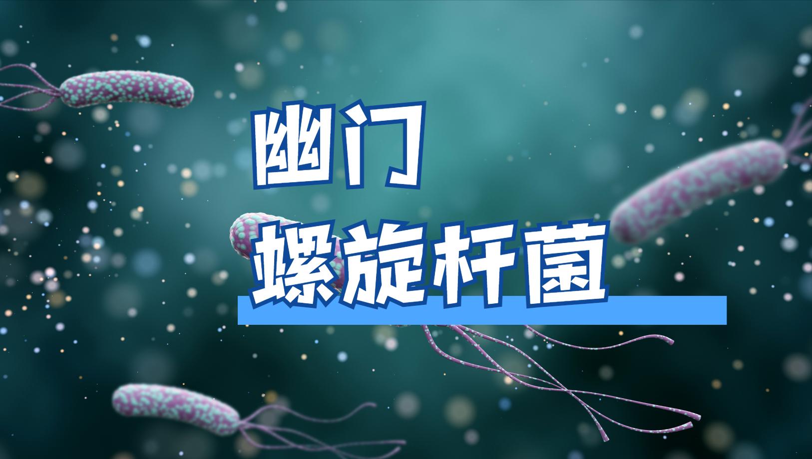 幽门螺旋杆菌怎么治疗？最新研究：益生菌可辅助治疗幽门螺旋杆菌