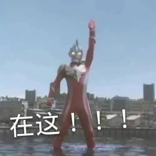 看犬夜叉,犬夜叉第二季有生之年