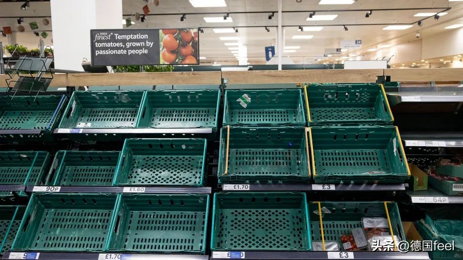菜荒!英国超市限购对德国有影响吗?这款3欧蔬果盲盒你值得拥有