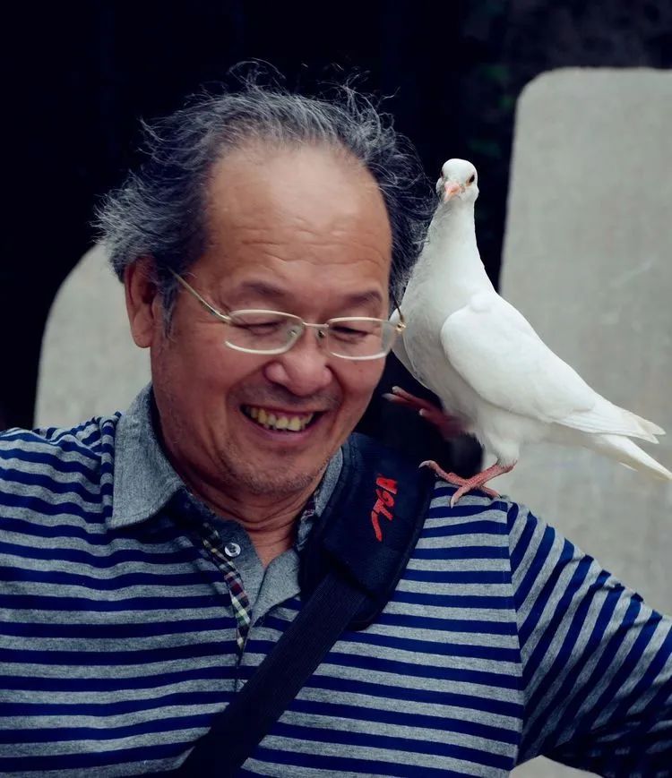 岩骨花香茶清远,岩骨花香武夷岩茶