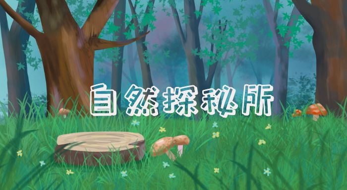 大自然的奇花有哪些,大自然一年四季都能开的花