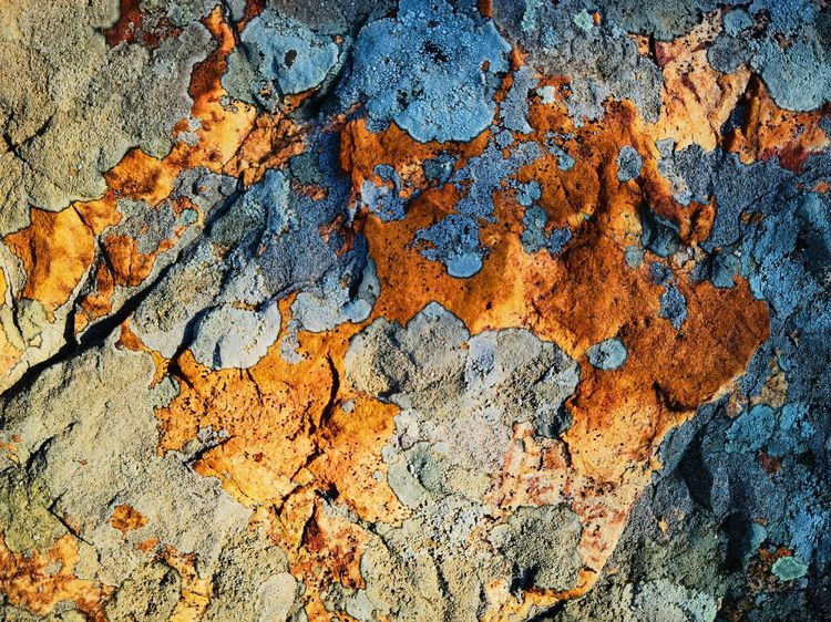 旅顺城山,旅顺城山怎么绕过去