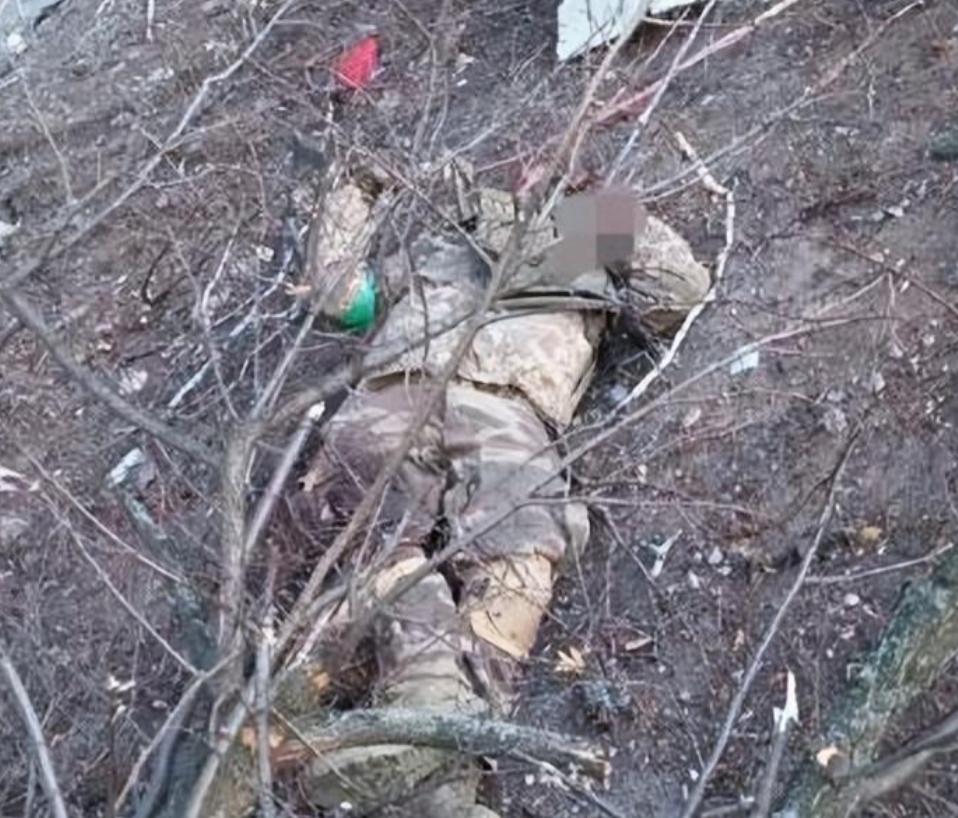 鍩鸿緟澶滄櫄琛楀ご,鍩鸿緟琛楀ご